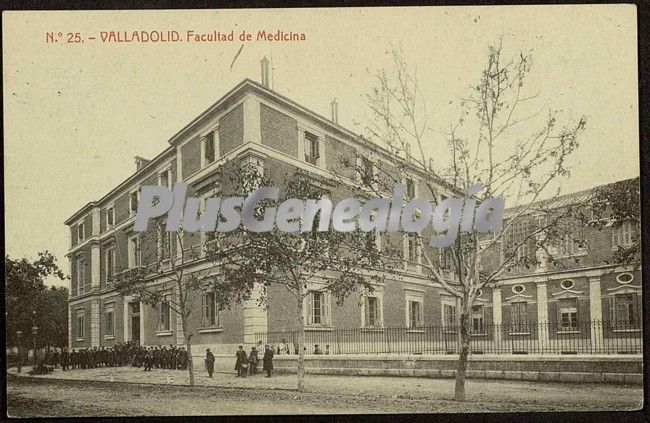 VALLADOLID MEDICINA valladolid medicina:
