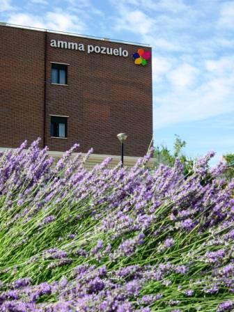 RESIDENCIA AMMA POZUELO