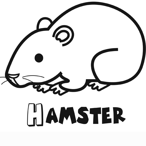 Dibujos con ni&ntilde;os: Colorear un h�mster