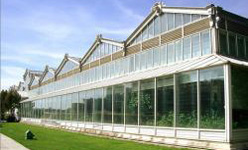 INVERNADERO PALACIO DE CRISTAL DEL DISTRITO DE ARGANZUELA, MADRID