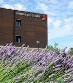 AMMA POZUELO