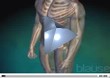 �C�mo se produce la osteoporosis?