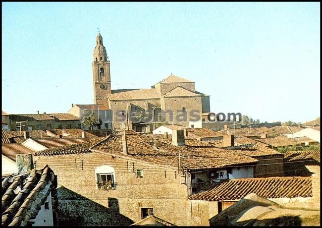 Resultado de imagen de cañizal zamora