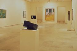 Museo de arte contemporáneo esteban vicente, Segovia