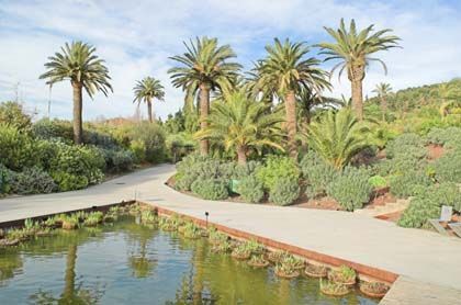 'Consultorio de plantas', jardí botànic de Barcelona