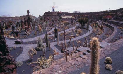 Jardín de cactus, lanzarote