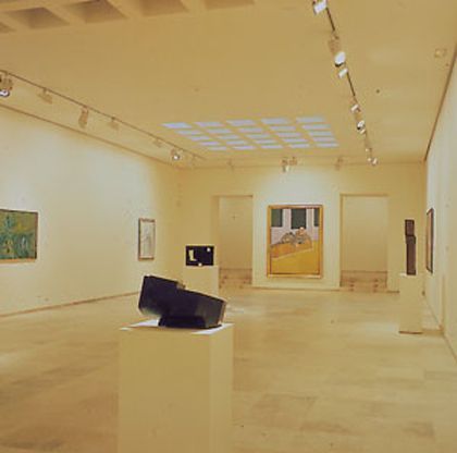 Museo de arte contemporáneo esteban vicente, Segovia