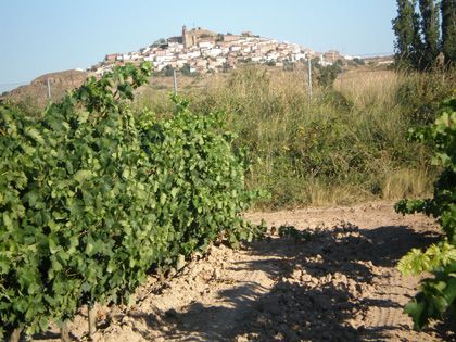 'Vinotalleres', la rioja