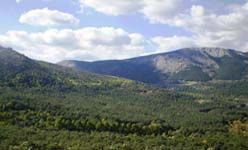 Visita temática: 'Descifrando el paisaje', c.e.a. arboreto luis ceballos, montejo de la sierra (Madrid)