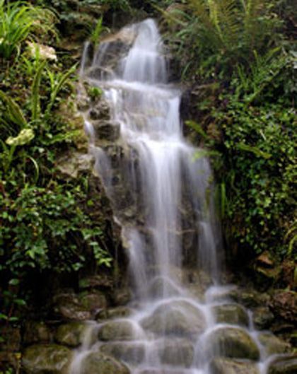 Jardín botánico atlántico, gijón (asturias)