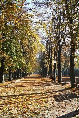 'Senderismo otoño-invierno 08/09', fundación mejora, vitoria