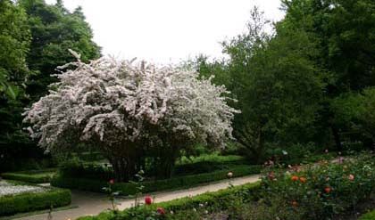 Visitas de fin de semana, real jardín botánico, Madrid