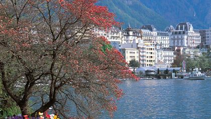 El lago léman, espejo de los alpes