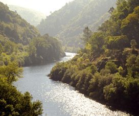 Ourense, el milagro del agua