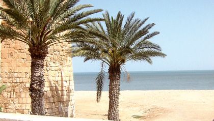 Isla de djerba, un oasis en el mediterráneo