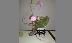 Taller de ikebana, centrocaixa murcia