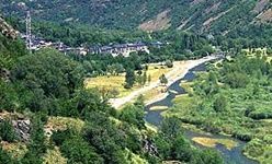 Visita guiada: 'Saucedal de barruera' (Lleida)