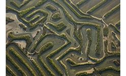 'Armonia fractal de doñana y las marismas', parque de las ciencias, Granada