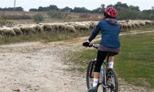 Itinerarios en bicicleta 'Las riberas madrileñas', la casa encendida, Madrid