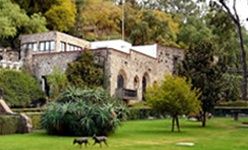 Museo dolores olmedo, Ciudad de México