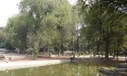 Jardín botánico de chapultepec, Ciudad de México