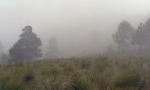 Parque el desierto de los leones, Ciudad de México