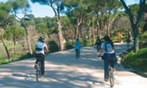 'Itinerarios en bicicleta por caminos que llevaban…', la casa encendida, Madrid