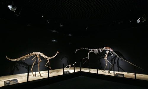 'Dinosaurios. tesoros del desierto de gobi', Cosmocaixa Madrid