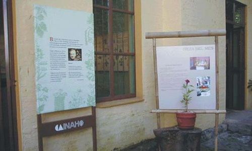 Jardín etnobotánico y museo de medicina tradicional y herbolaria, cuernavaca