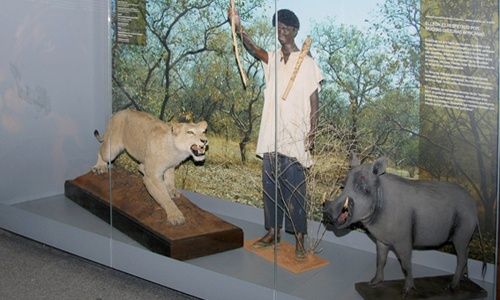 'Vivir en biodiversidad total con leones, tigres o lobos', museo nacional de ciencias naturales, Madrid