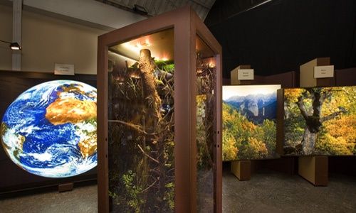 'El bosque. mucho más que madera', Caixaforum Palma de Mallorca