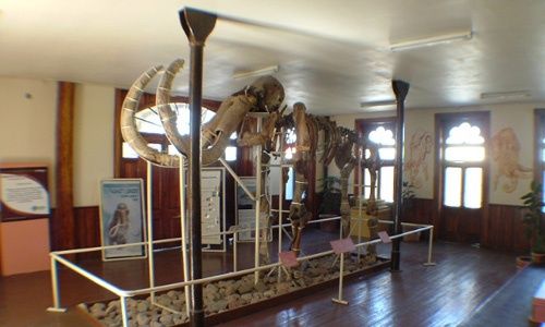 Museo del mamut, chihuahua