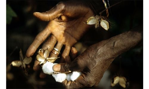 'Comercio justo. un producto, una historia', Caixaforum Palma de Mallorca