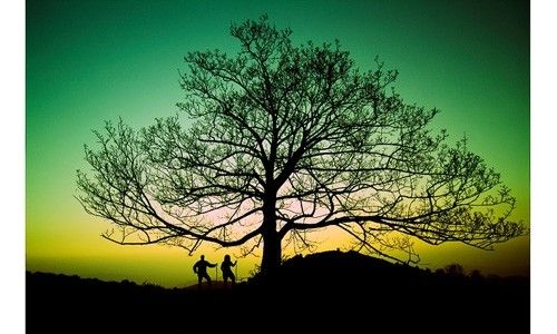 'La atmósfera, el aire que nos rodea'. centro nacional de educación ambiental, valsaín (Segovia)