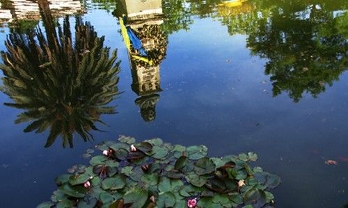 'El tesoro del agua'. real jardín botánico, Madrid