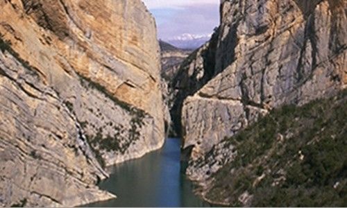 'Gaudeix de la natura'. obra social de caixa catalunya