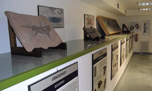 'Tesoros en las rocas'. Museo elder de la ciencia y la tecnología, las palmas de gran canaria