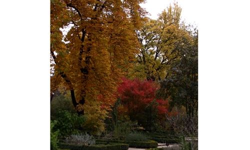 Visitas temáticas. real jardín botánico, Madrid