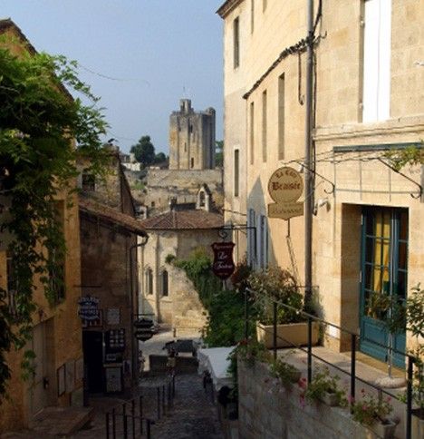 Los viñedos de burdeos: saint-emilion, el medoc