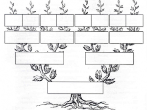 Los árboles genealógicos decostados