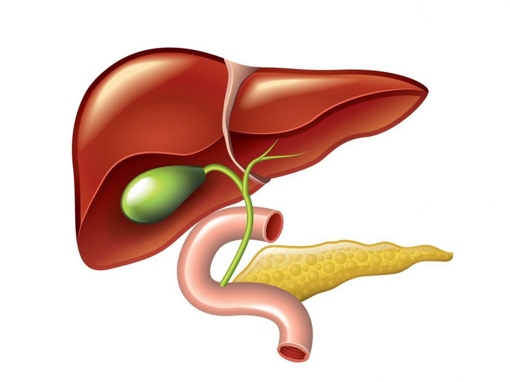 Como se cura la hepatitis alcoholica