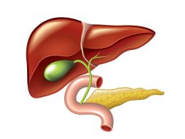 ¿Por qué se produce la cirrosis hepática?