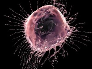 Aparicicón y tratamiento del cáncer de ovario