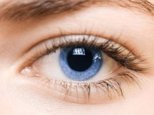 La fotografía de fondo de ojo como método de diagnóstico en el glaucoma