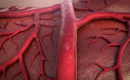 Arteria de la temporal, arteritis de células gigantes y polimialgia reumática