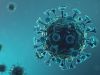 Enfermedades infectocontagiosas: qué son y cómo nos afectan