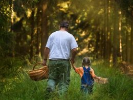 Setas, flores, frutas... ¿Qué puedo coger legalmente del campo?