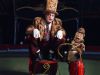 Apellidos de personajes famosos del circo de todos los tiempos y sus historias