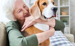 6 importantes beneficios de las mascotas para las personas mayores