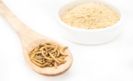 Harina de gusano ¿Nueva tendencia saludable para las personas mayores?